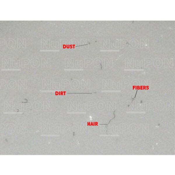 BESTrap (Bottom Edge Sticky Trap) - Image 2